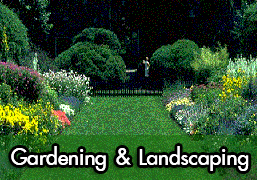 Gardening & Landscaping